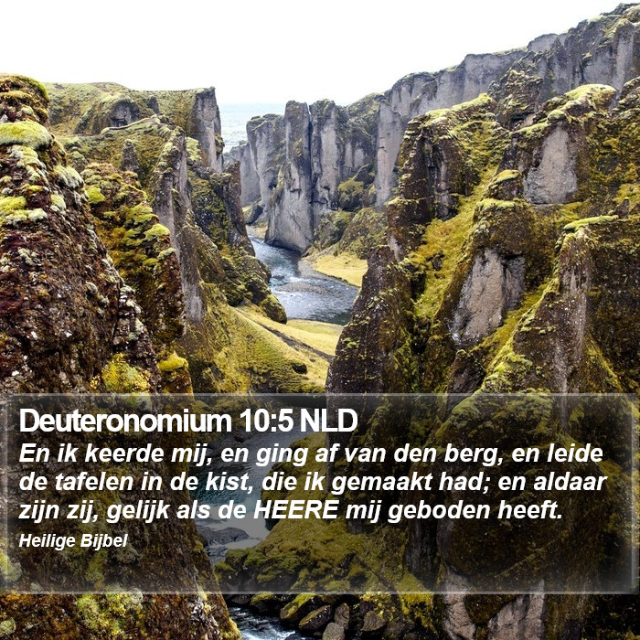 Deuteronomium 10:5 NLD Bible Study