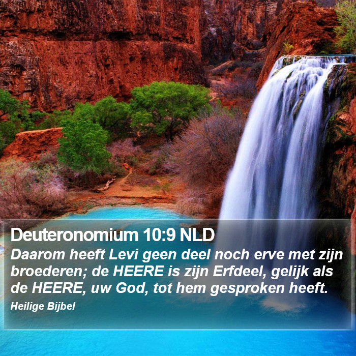 Deuteronomium 10:9 NLD Bible Study
