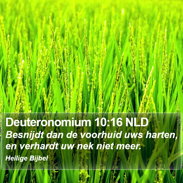 Deuteronomium 10:16 NLD Bible Study