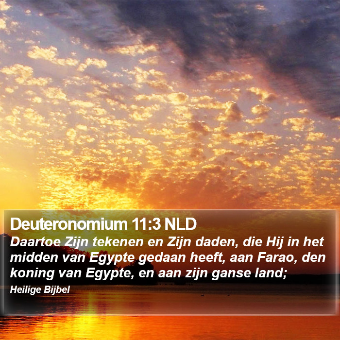 Deuteronomium 11:3 NLD Bible Study