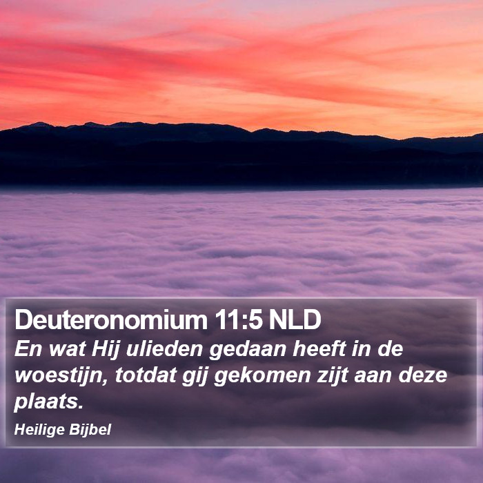 Deuteronomium 11:5 NLD Bible Study