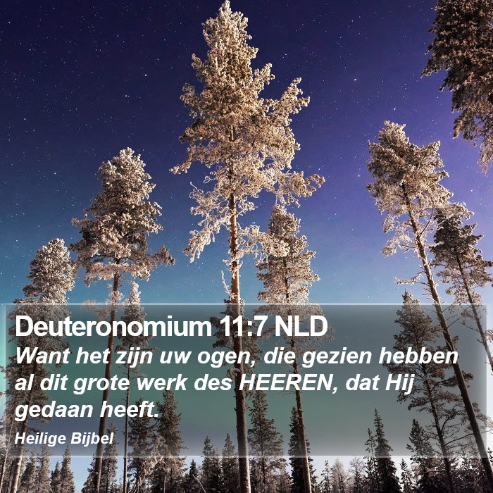 Deuteronomium 11:7 NLD Bible Study