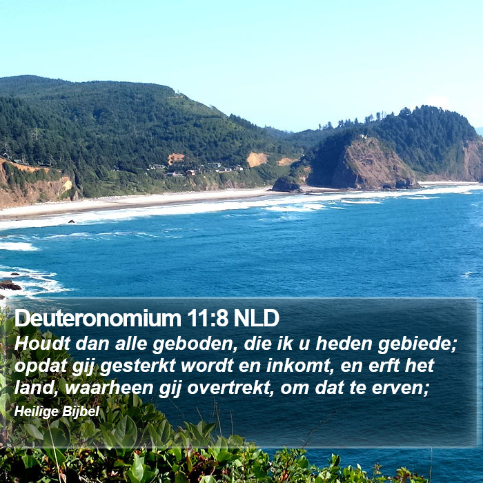 Deuteronomium 11:8 NLD Bible Study