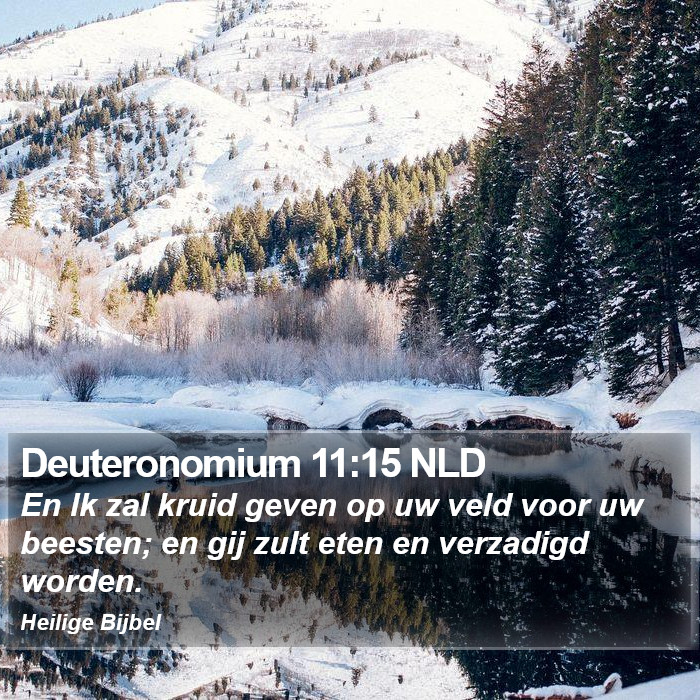 Deuteronomium 11:15 NLD Bible Study