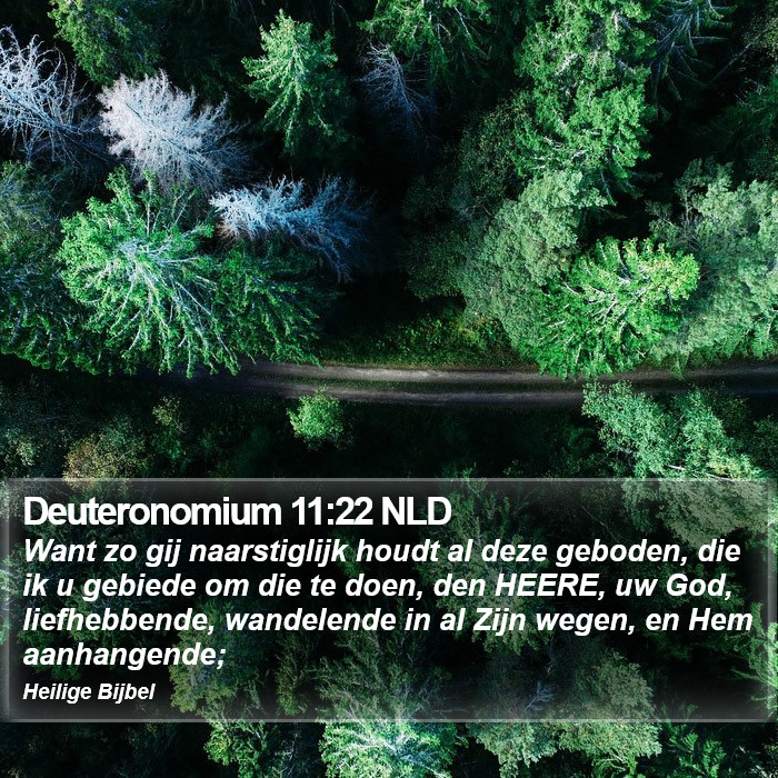 Deuteronomium 11:22 NLD Bible Study