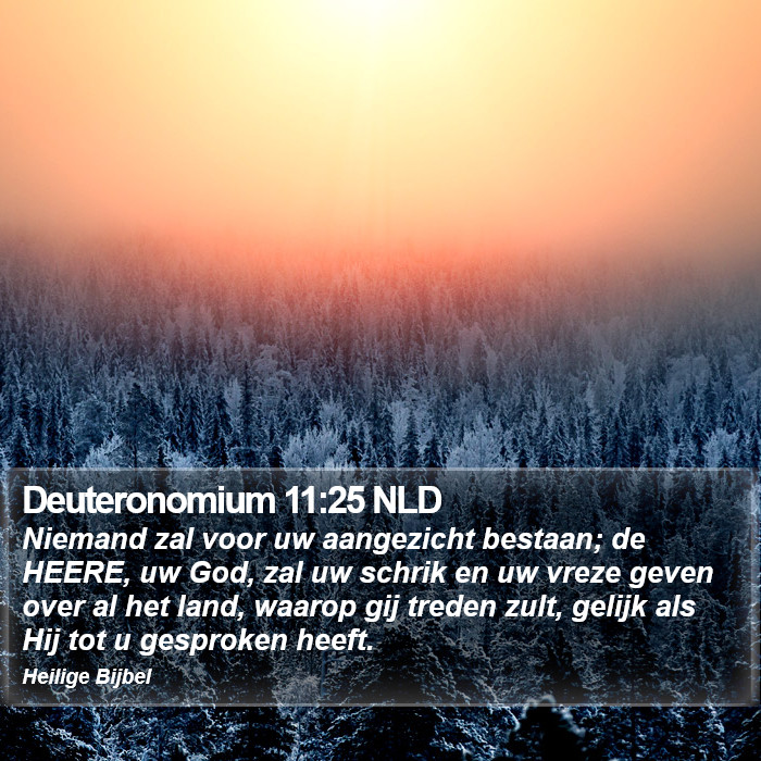 Deuteronomium 11:25 NLD Bible Study