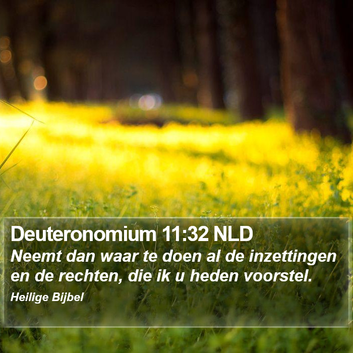 Deuteronomium 11:32 NLD Bible Study