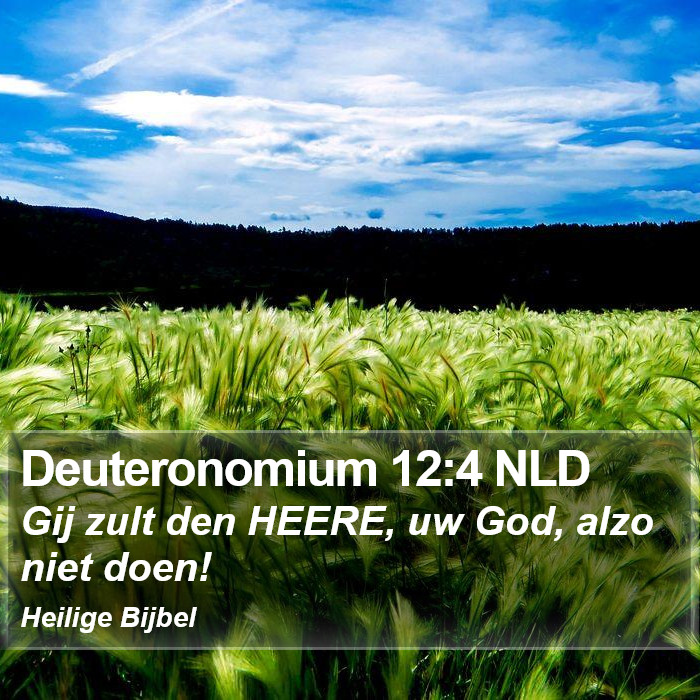 Deuteronomium 12:4 NLD Bible Study