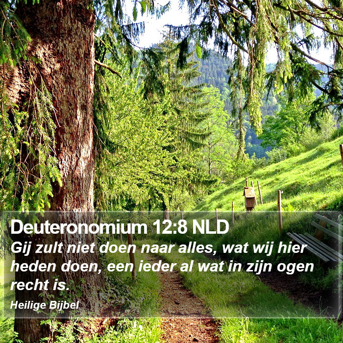 Deuteronomium 12:8 NLD Bible Study