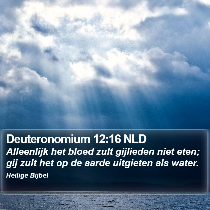 Deuteronomium 12:16 NLD Bible Study