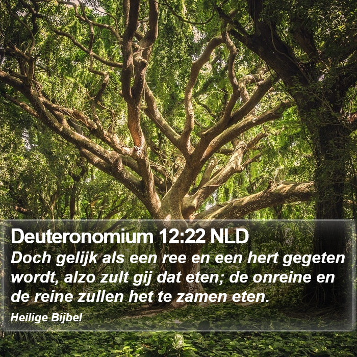 Deuteronomium 12:22 NLD Bible Study