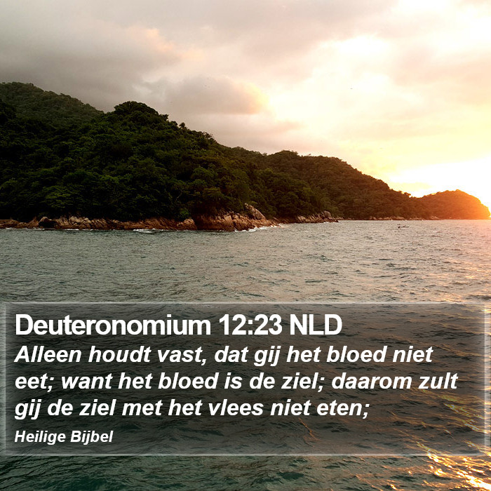 Deuteronomium 12:23 NLD Bible Study