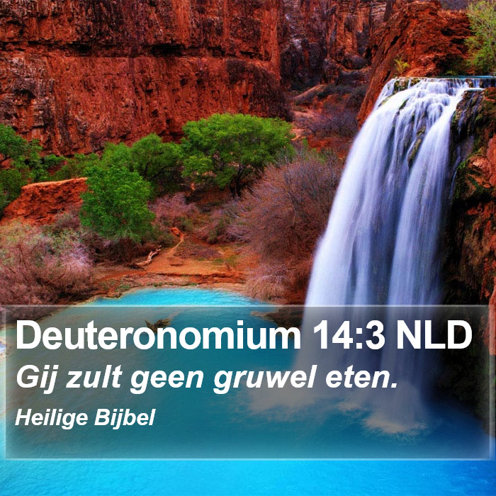Deuteronomium 14:3 NLD Bible Study