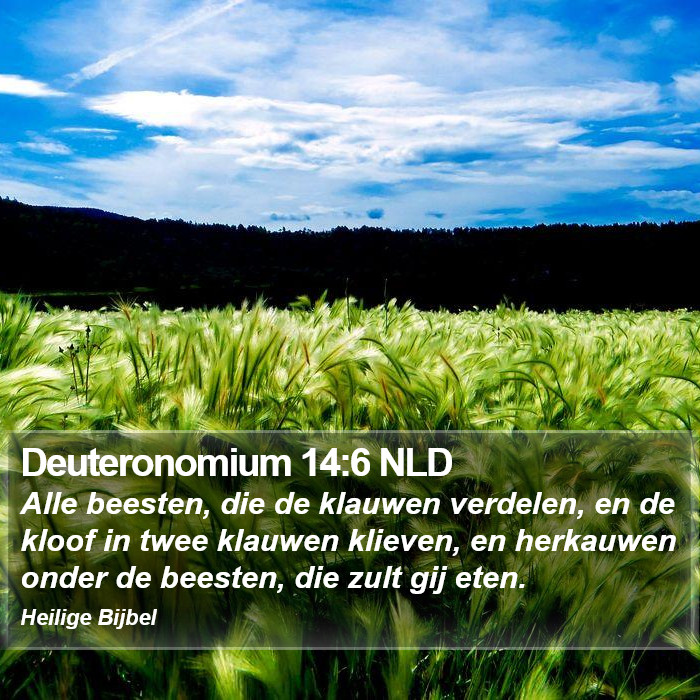 Deuteronomium 14:6 NLD Bible Study