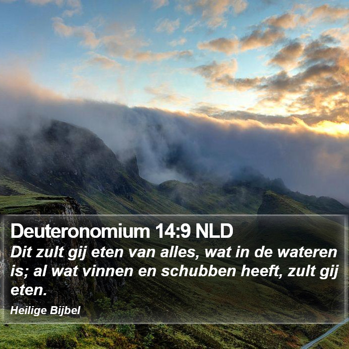 Deuteronomium 14:9 NLD Bible Study