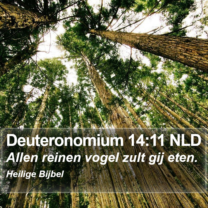 Deuteronomium 14:11 NLD Bible Study