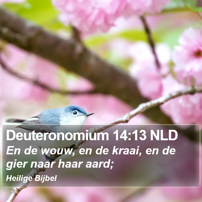 Deuteronomium 14:13 NLD Bible Study