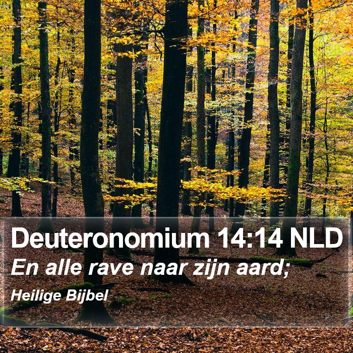 Deuteronomium 14:14 NLD Bible Study