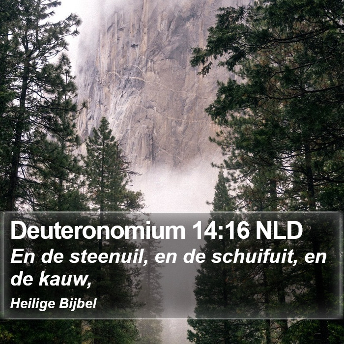 Deuteronomium 14:16 NLD Bible Study