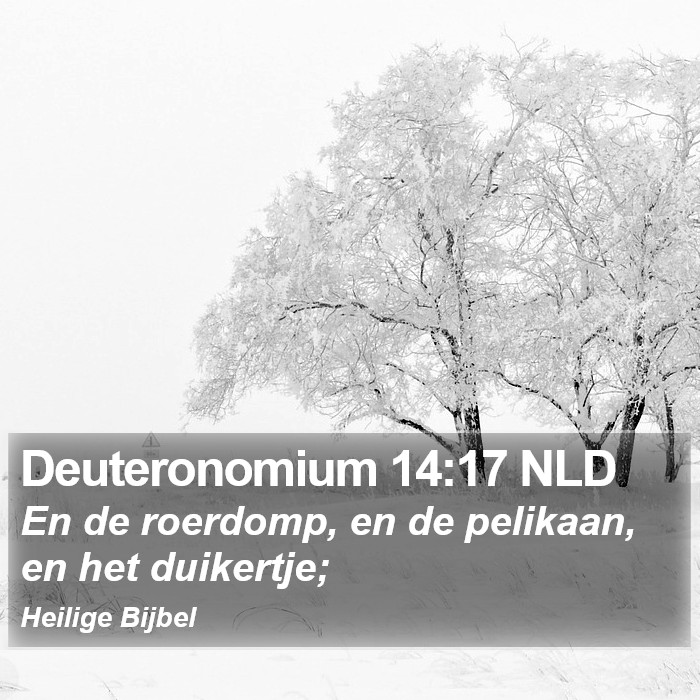 Deuteronomium 14:17 NLD Bible Study