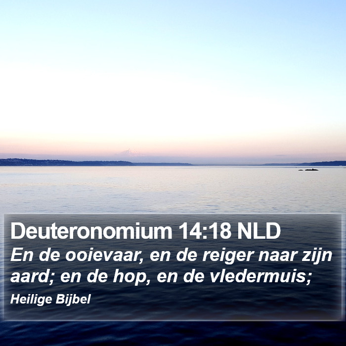 Deuteronomium 14:18 NLD Bible Study