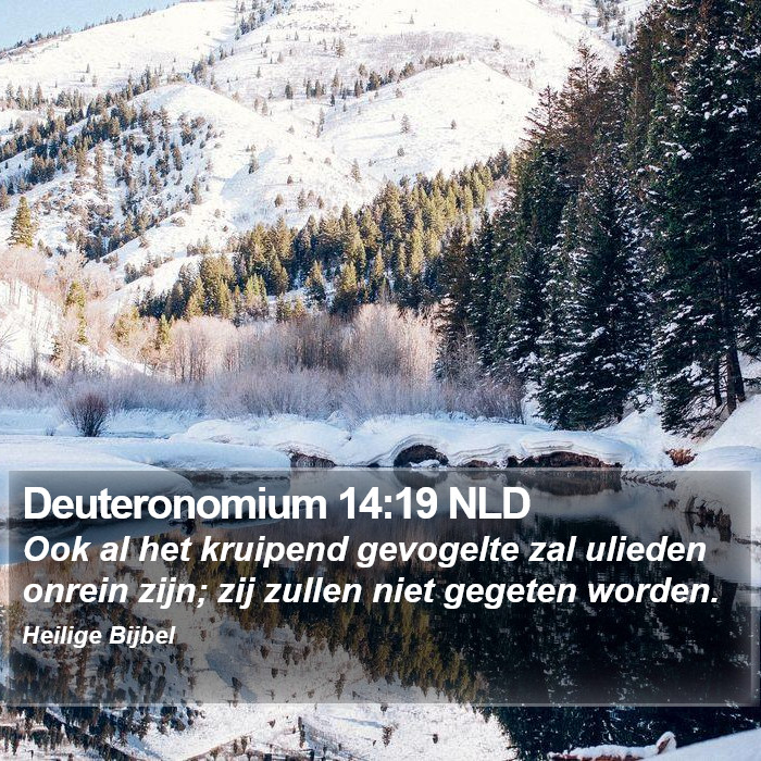 Deuteronomium 14:19 NLD Bible Study