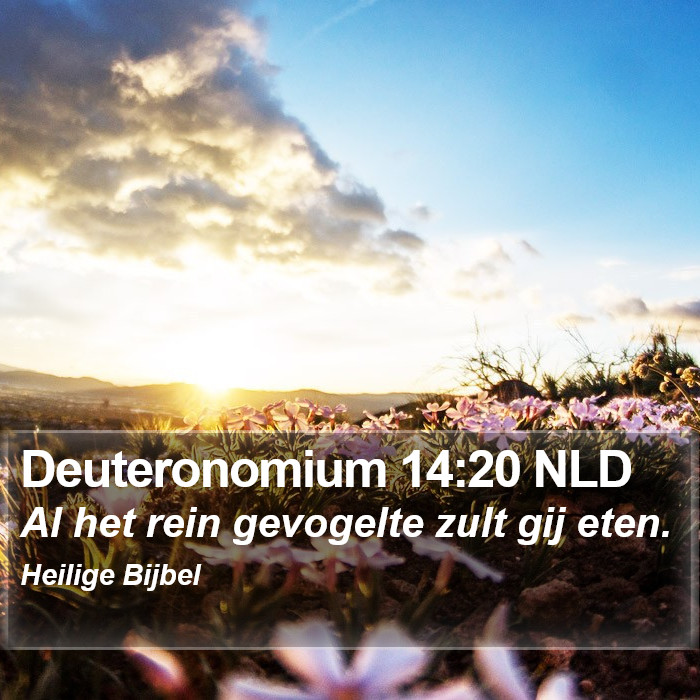 Deuteronomium 14:20 NLD Bible Study