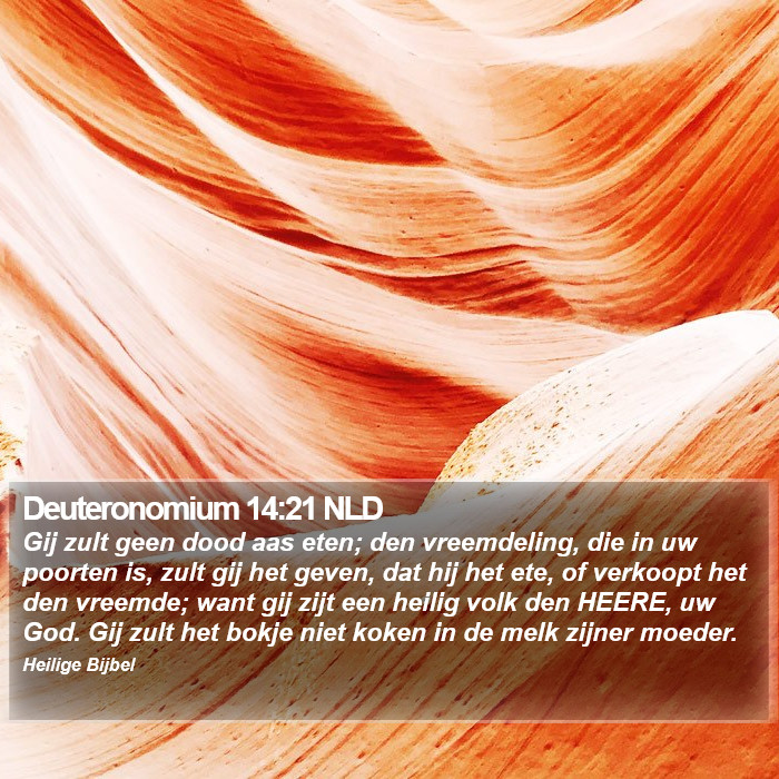Deuteronomium 14:21 NLD Bible Study