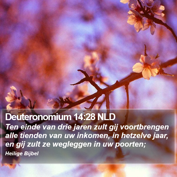 Deuteronomium 14:28 NLD Bible Study