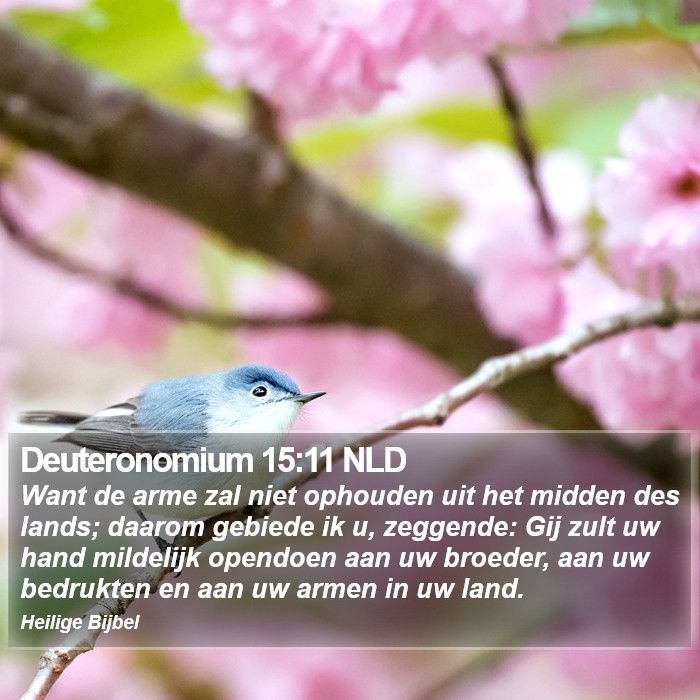 Deuteronomium 15:11 NLD Bible Study