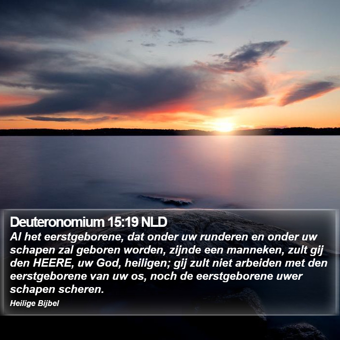 Deuteronomium 15:19 NLD Bible Study