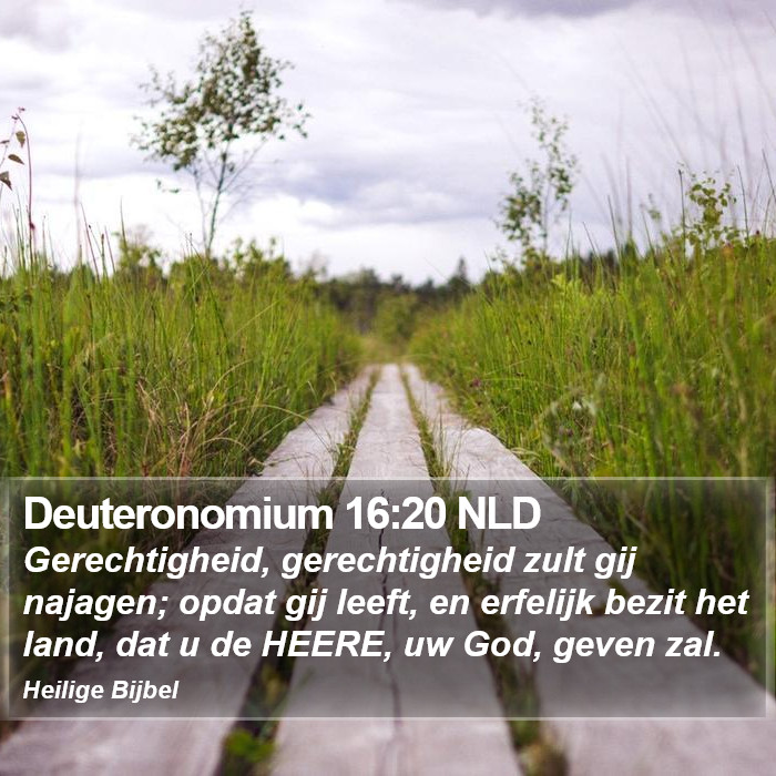 Deuteronomium 16:20 NLD Bible Study