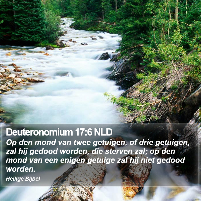 Deuteronomium 17:6 NLD Bible Study