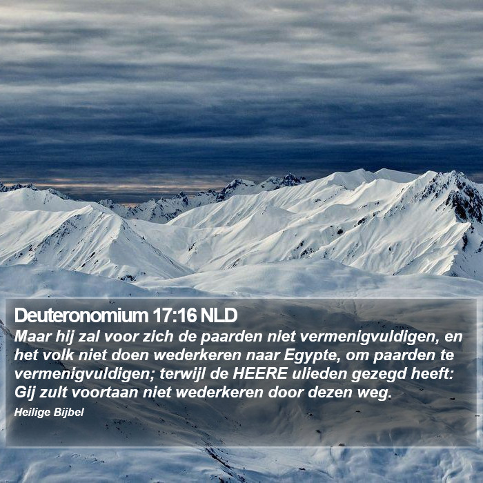 Deuteronomium 17:16 NLD Bible Study