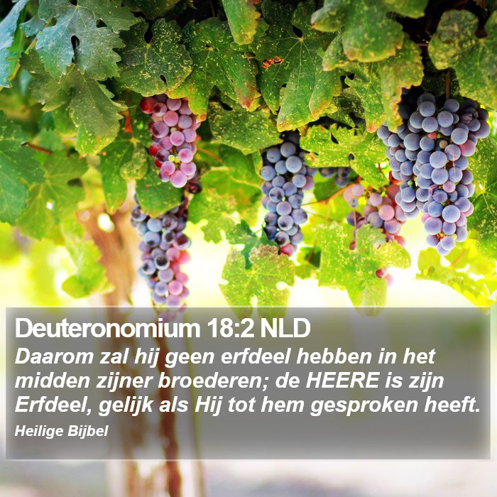 Deuteronomium 18:2 NLD Bible Study