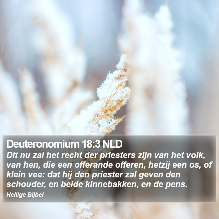 Deuteronomium 18:3 NLD Bible Study