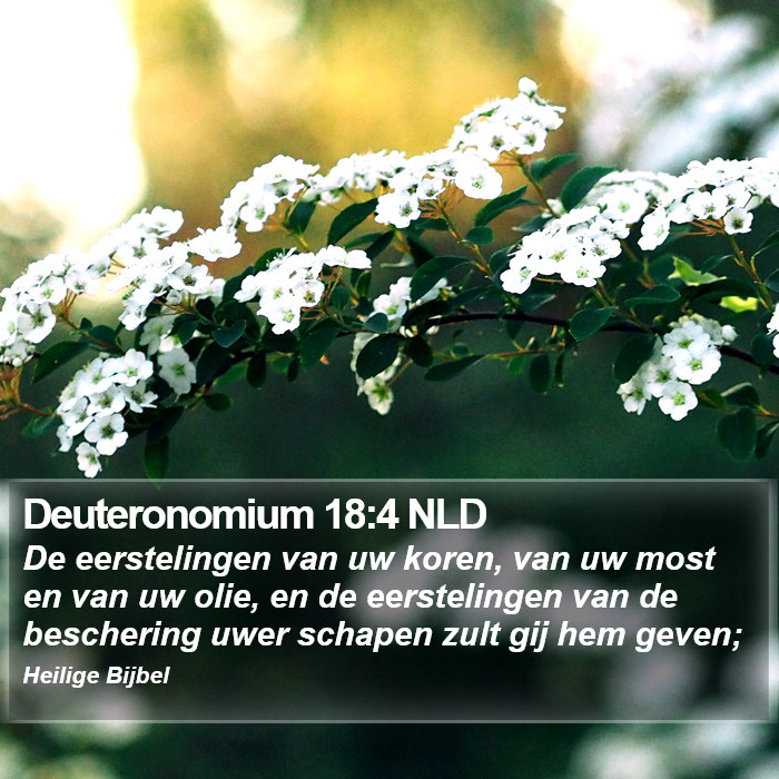 Deuteronomium 18:4 NLD Bible Study