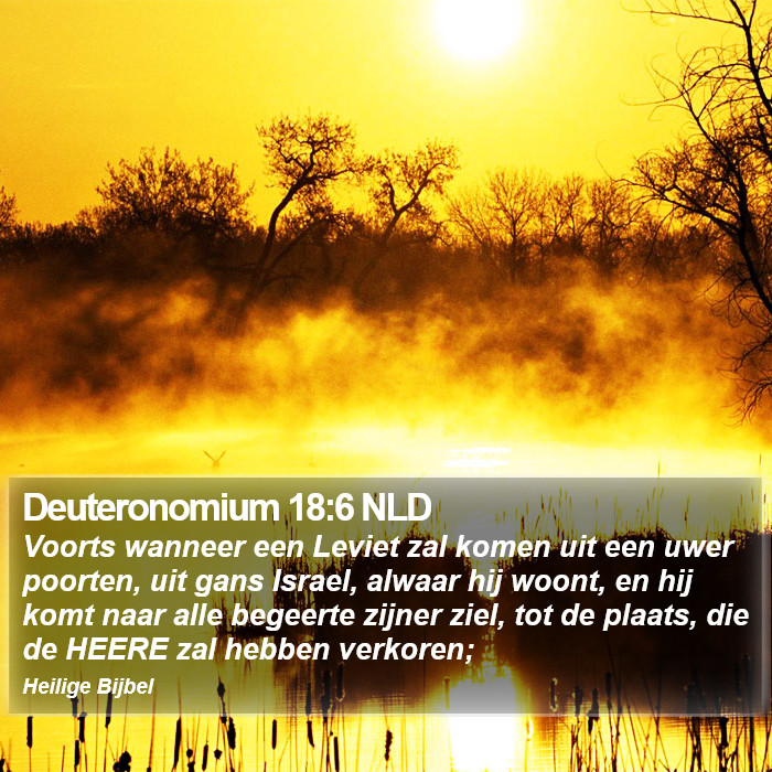 Deuteronomium 18:6 NLD Bible Study