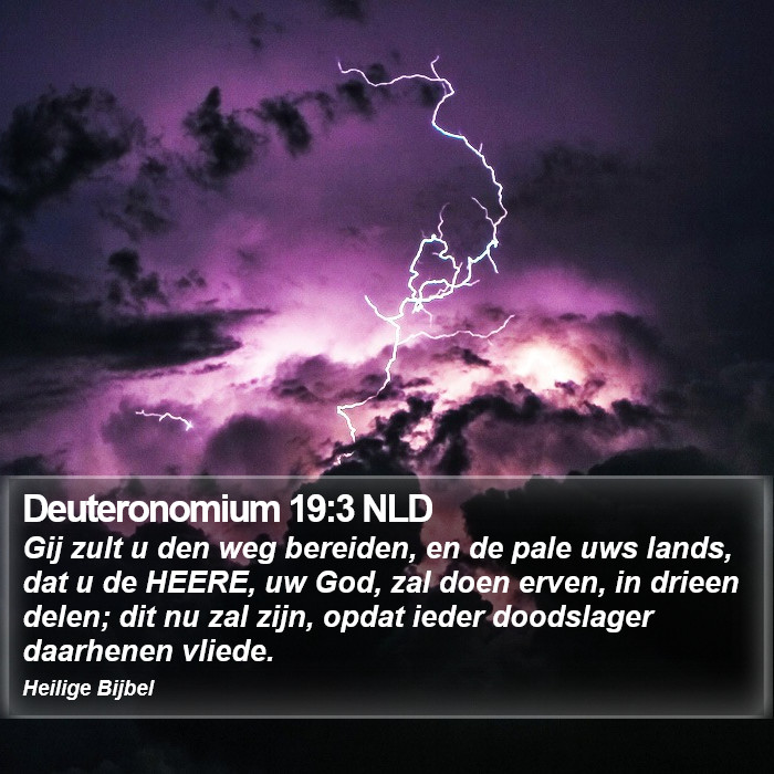 Deuteronomium 19:3 NLD Bible Study