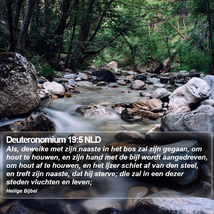 Deuteronomium 19:5 NLD Bible Study