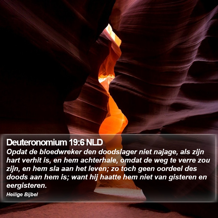 Deuteronomium 19:6 NLD Bible Study