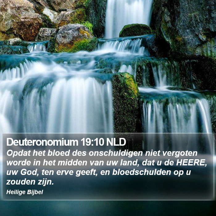 Deuteronomium 19:10 NLD Bible Study