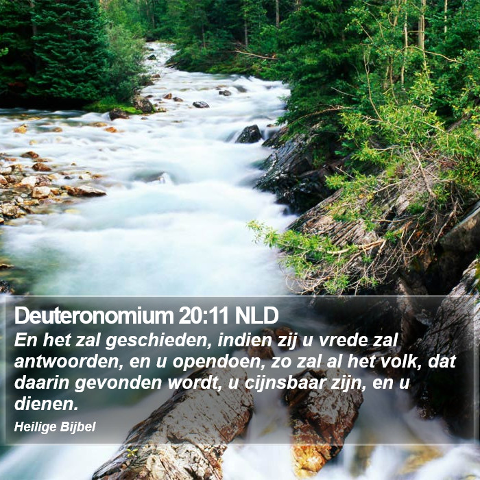 Deuteronomium 20:11 NLD Bible Study