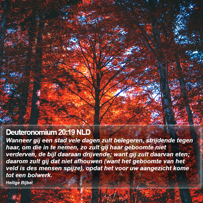 Deuteronomium 20:19 NLD Bible Study