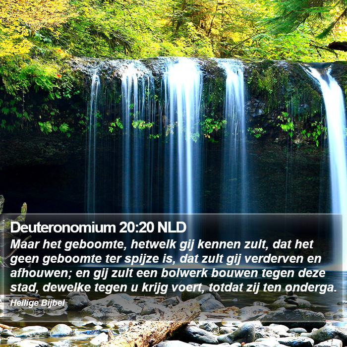 Deuteronomium 20:20 NLD Bible Study