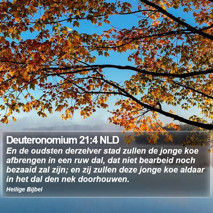 Deuteronomium 21:4 NLD Bible Study