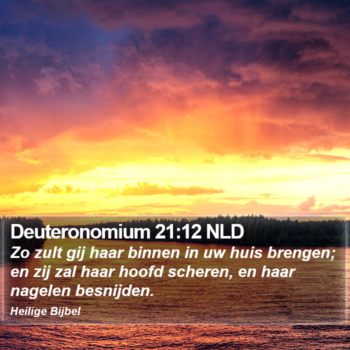 Deuteronomium 21:12 NLD Bible Study