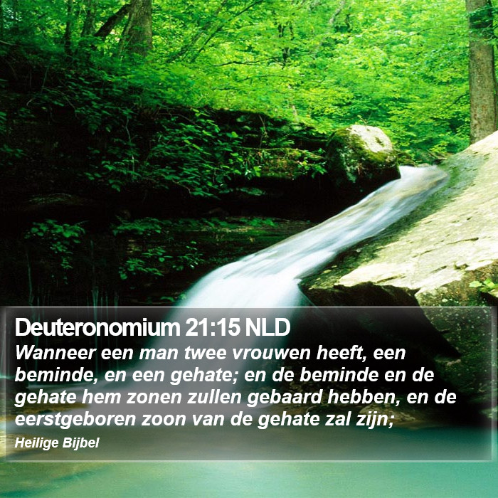 Deuteronomium 21:15 NLD Bible Study