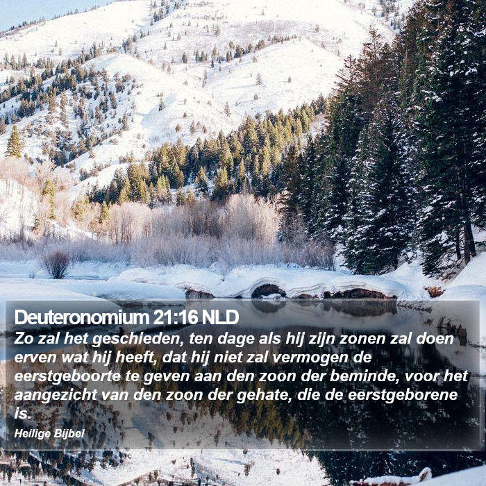 Deuteronomium 21:16 NLD Bible Study