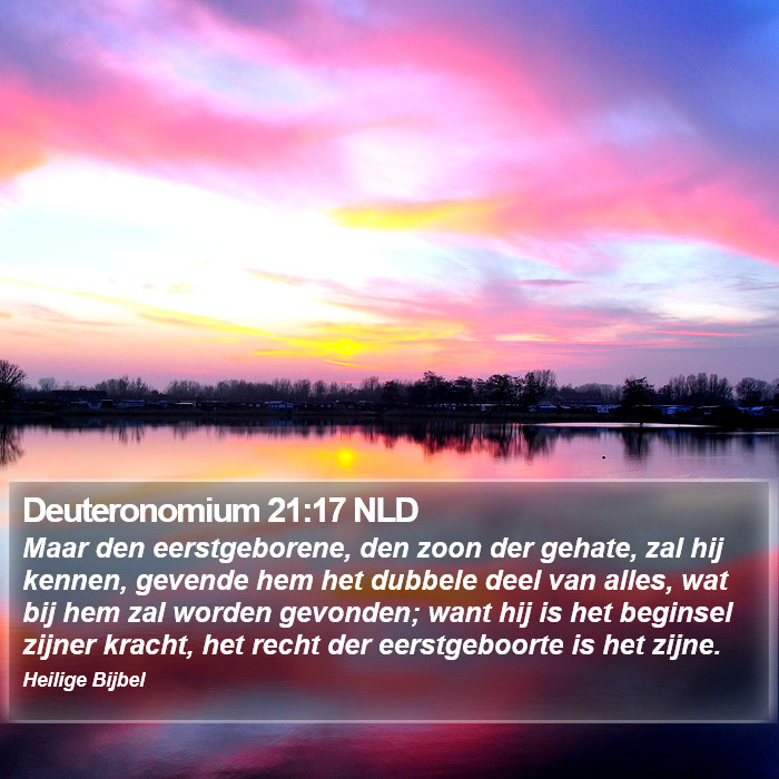 Deuteronomium 21:17 NLD Bible Study
